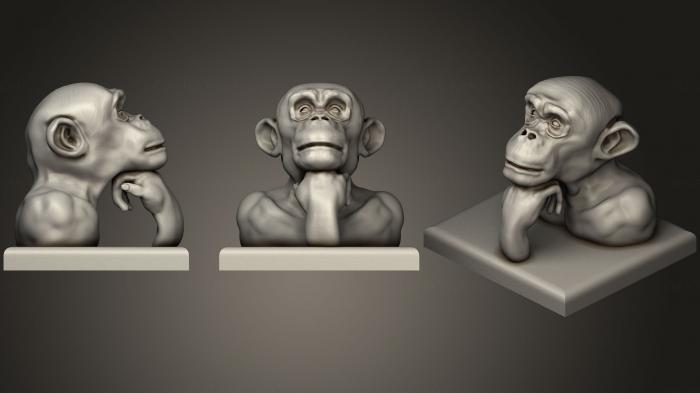 نموذج ثلاثي الأبعاد لآلة CNC أقنعة وكمامات الحيوانات التفكير القرد